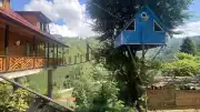 Rize'de İki Kardeşten Çocukluk Hayallerini Yansıtan Ağaç Ev Projesi