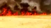 Şanlıurfa Haliliye'de Buğday Tarlası Yangını: 45 Dönüm Alan Zarar Gördü