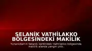 Selanik Vathilakko bölgesindeki makilik alanda yangın meydana geldi