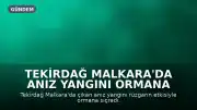 Tekirdağ Malkara'da Anız Yangını Ormana Sıçradı: 3 Saatte Kontrol Altına Alındı