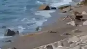 Zonguldak Filyos Sahili'nde Askeri İHA Bulundu: İnceleme Başlatıldı