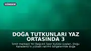 Doğa Tutkunları Yaz Ortasında 3 Bin Metreye Tırmanıp Buzul Göllerinde Yüzdü