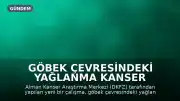 Göbek Çevresindeki Yağlanma Kanser Riskini Artırıyor: Bilimsel Araştırma Sonuçları