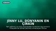 Jinny Lu, Dünyanın En Çirkin Köpeği Yarışması'nda Birinciliği Kazandı
