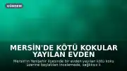 Mersin'de Kötü Kokular Yayılan Evden Yaklaşık 100 Kedi Kurtarıldı