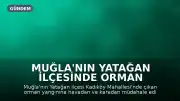 Muğla'nın Yatağan İlçesinde Orman Yangını: Havadan ve Karadan Müdahale Devam Ediyor