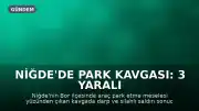 Niğde'de Park Kavgası: 3 Yaralı