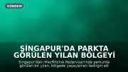 Singapur'da Parkta Görülen Yılan Bölgeyi Tedirgin Etti