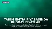 Tarım Emtia Piyasasında Buğday Fiyatları İklimsel ve Jeopolitik Faktörlerden Etkileniyor