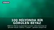 100 Milyonda Bir Görülen Beyaz Istakoz "Casper", Bilimsel Araştırmalar İçin Laboratuvara Girdi