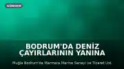Bodrum'da Deniz Çayırlarının Yanına Tekne İmalat Tesisi İnşa Edilecek