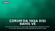 Çorum'da Yasa Dışı Bahis ve Kumar Operasyonu: 8 Kişi Tutuklandı