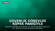 Güvenlik Görevlisi Köpek Paniğiyle Kaçarken Çukura Düştü: Yaralandı