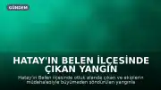 Hatay'ın Belen İlçesinde Çıkan Yangın Söndürüldü