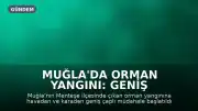 Muğla'da Orman Yangını: Geniş Müdahale Başlatıldı