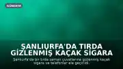 Şanlıurfa'da Tırda Gizlenmiş Kaçak Sigara ve Telefonlara El Konuldu: 2 Şüpheli Tutuklandı