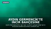 Aydın Germencik'te İncir Bahçesine Jeotermal Enerji Santrali Projesi Onayı Tepki Çekti