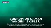 Bodrum'da Orman Yangını: Ekipler Havadan ve Karadan Müdahale Ediyor