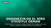Endonezya'da El Niño Etkisiyle Orman Yangını: Yaklaşık 300 Ev Kül Oldu, Bin Kişi Tahliye Edildi