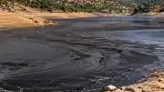 İspanya'da Orman Yangını Sonrası Nehirler Külle Kaplandı, Bölgede İçme Suyu Krizi Yaşanıyor