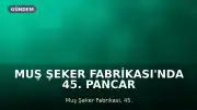 Muş Şeker Fabrikası'nda 45. Pancar Alım Kampanyası Başladı