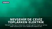 Nevşehir'de Ceviz Toplarken Elektrik Akımına Kapılan Adam Hayatını Kaybetti