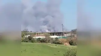 Beykoz'da Orman Yangını: Müdahale Sürüyor