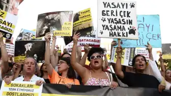 İstanbul Valiliği'nden Sokak Hayvanları Yasası Açıklaması: 'Geri Adım Yok'