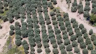 Osmaniye'de Kaçak Kazıya Dronla Müdahale: 6 Gözaltı