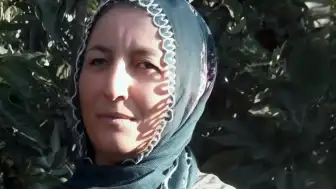 İş Yerinde Ağaç Faciası: 56 Yaşındaki Kadın Hayatını Kaybetti