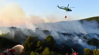 Muğla Marmaris'te Orman Yangını: Ekipler Sevk Edildi