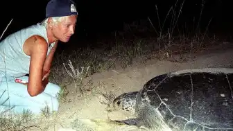 Lübnan'da Deniz Kaplumbağalarını Koruyan Aktivist İsrail Saldırısında Hayatını Kaybetti