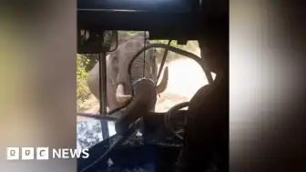 Sri Lanka'da Vahşi Filin Otobüse Saldırısı: Personel Taşıyan Araç Hasar Aldı