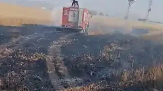 Şırnak'ta Buğday Ekili Arazide Yangın: 10 Dönüm Alan Zarar Gördü