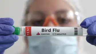 Avustralya Tarım Bakanı Julie Collins: "H5 kuş gribi vakası onaylandı"