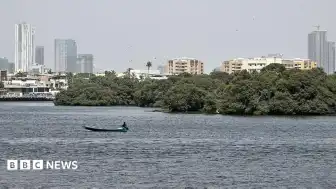 Pakistan'da Kargo Uçağı Kayboldu: Arama Çalışmaları Sürüyor