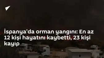 İspanya'da Yıkıcı Orman Yangını: Can Kaybı ve Kayıplar Artıyor