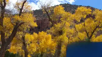 Utah'da Ani Sel Felaketi: Bir Aileden 5 Kişi Hayatını Kaybetti