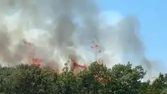 Bursa Kestel'deki Orman Yangınına Havadan ve Karadan Müdahale Ediliyor