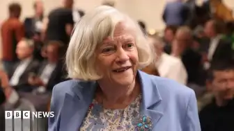 Polis, Ann Widdecombe Cinayetinde Siyasi Bir Motivasyon Bulunmadığını Açıkladı