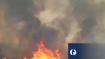 İspanya'nın Almería Bölgesinde Yıkıcı Orman Yangınları: Can Kaybı ve Tahribat Artıyor