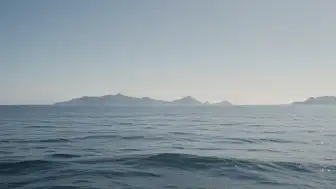 Japonya'da 7.0 büyüklüğünde deprem: Tsunami riski bulunmuyor