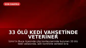 33 Ölü Kedi Vahşetinde Veteriner Hekim H.E. Yeniden Gözaltına Alındı