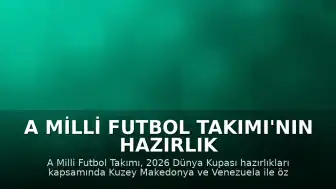 A Milli Futbol Takımı'nın Hazırlık Maçları ve Dünya Kupası Programı Belli Oldu