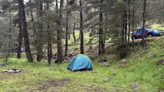 Bolu'da Ormana Yıldırım Düşmesiyle 3 Kişi Yaralandı
