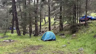 Bolu'da Ormanlık Alana Yıldırım Düşmesi: 3 Yaralı