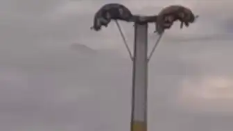 Buca Lunaparkta Bayram Tatilinde Arızalar: Vatandaşlar Havada ve Raylarda Mahsur Kaldı
