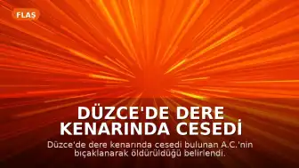 Düzce'de Dere Kenarında Cesedi Bulunan A.C. Cinayetine İlişkin Soruşturmada Şüpheli N.Ö. Yakalandı