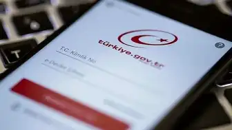 e-Devlet Kapısı'nda Sabah Saatlerinde Erişim Sorunları Yaşandı