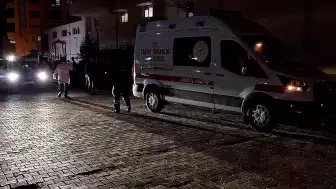 Elazığ'da Çocukın Gözü Önünde Eşini Öldüren Şahıs Tutuklandı